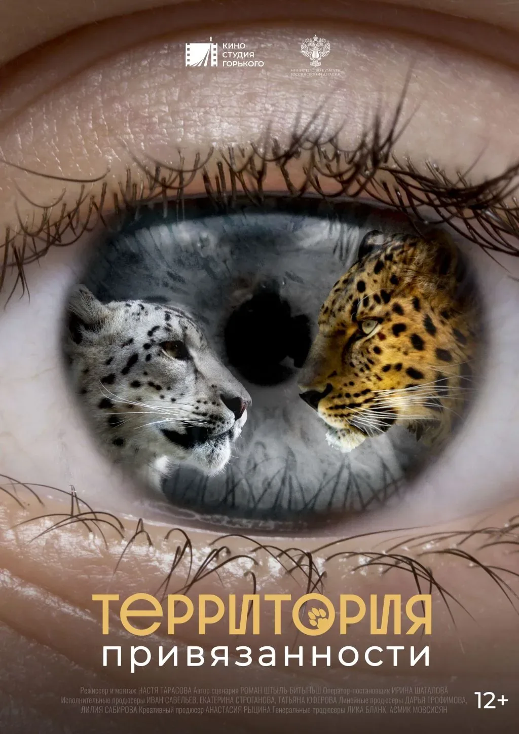 «Территория привязанности» (2023, режиссёр Настя Тарасова)