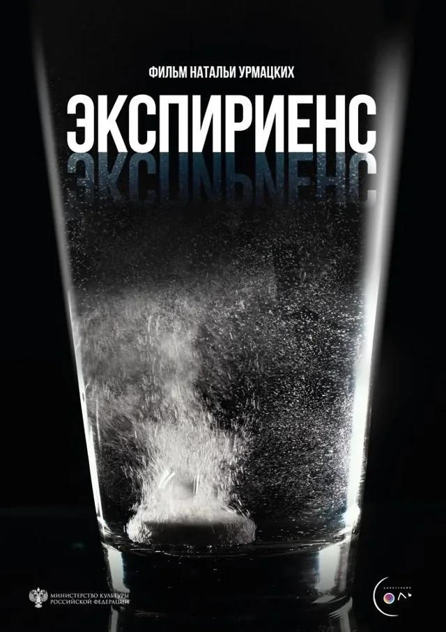 Постер фильма «Экспириенс»