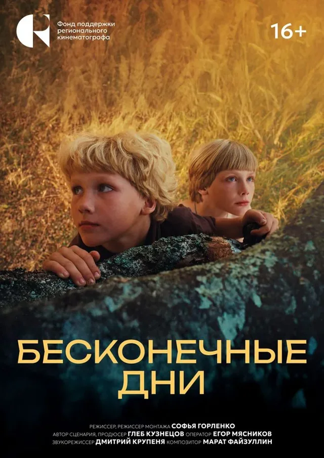 Постер фильма «Бесконечные дни»