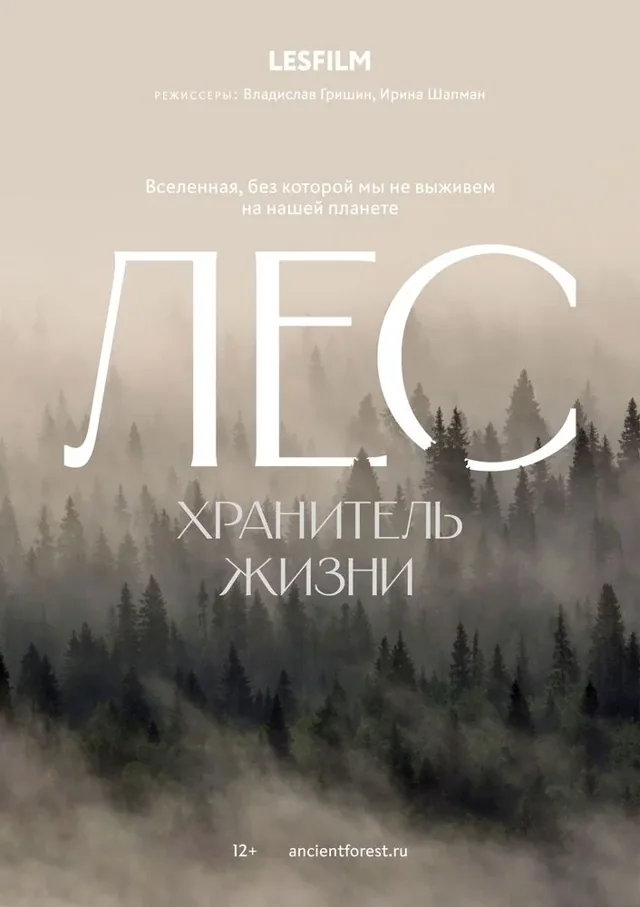 Постер фильма «Лес. Хранитель жизни»